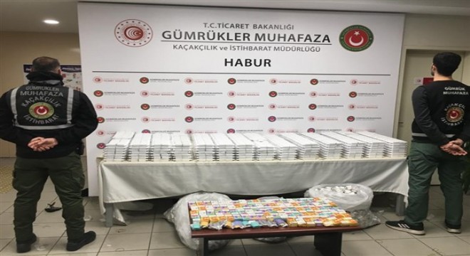 Habur’da kaçakçılık operasyonları