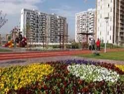 Ankara da çiçek devri