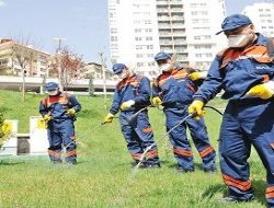 Haşereye GPS’li mücadele