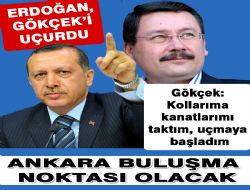 Çılgın proje, Gökçek i uçurdu