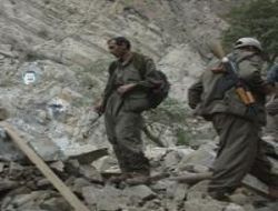 8 PKK lı örgütten kaçtı