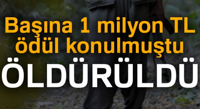 Başına 1 milyon ödül konulan terörist Bingöl de öldürüldü