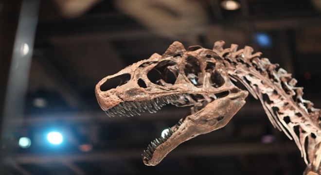 Bilim insanları, Tibet’te 176 milyon yıl öncesine ait 99 dinozor izi buldu