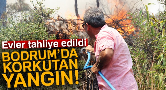 Bodrum da korkutan yangın! Gözyaşlarına engel olamadılar