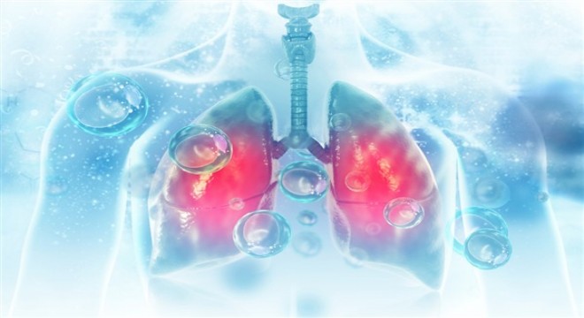 Boğaziçili bilim insanı karaciğer-dostu ilaçlar için araştırmalara başladı
