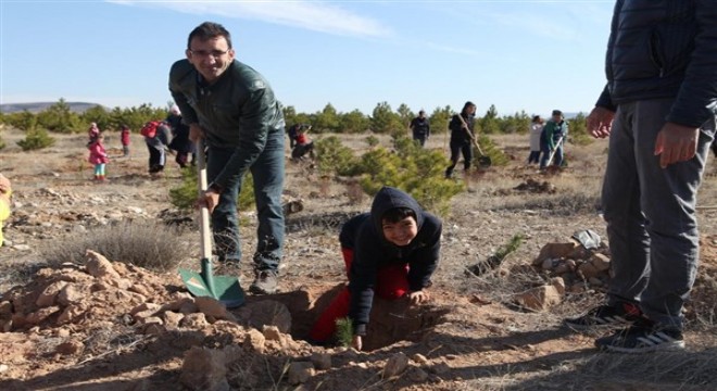 Büyükşehir Ulaşım A.Ş’den Hatay’a 700 fidan