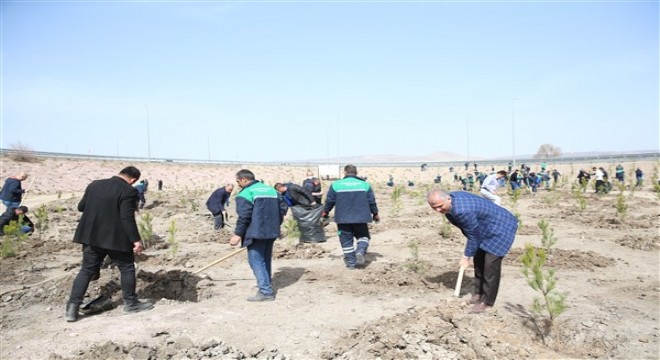 Büyükşehir, baharın gelmesi ile fidan dikimine başladı