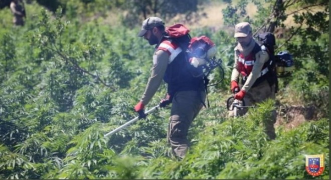 Diyarbakır ve Bingöl de narko terör operasyonu