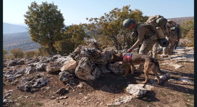 Eren Kış-5 Bağgöze Şehit Jandarma Üsteğmen Ersan Yenici Operasyonu başlatıldı