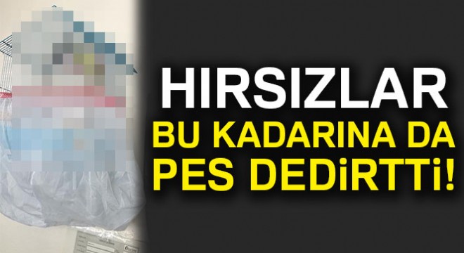 Girdikleri evdeki kuşu dolaptaki peynir bile çaldılar