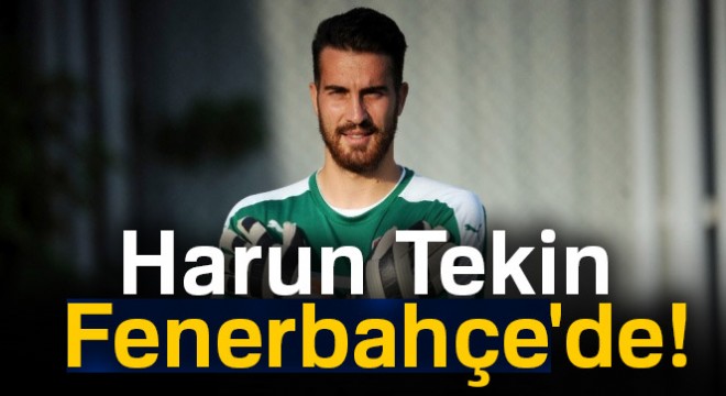 Harun Tekin Fenerbahçe de! Harun Tekin kimdir?