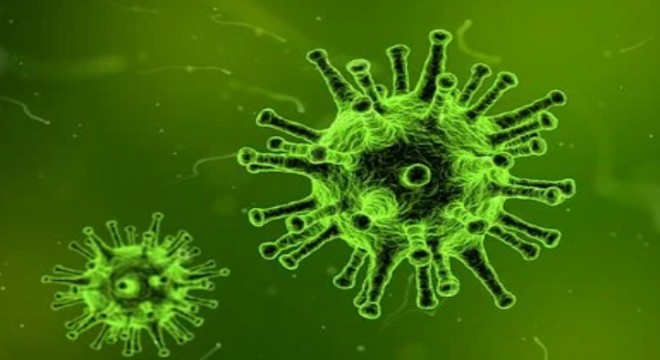 Koronavirüs salgınında ölenlerin sayısı 11 bin 326 ya ulaştı