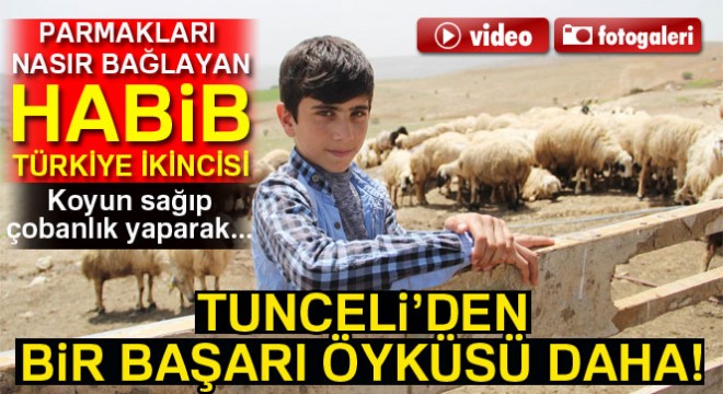 Koyun sağıp, çobanlık yapan Habib’in TEOG başarısı