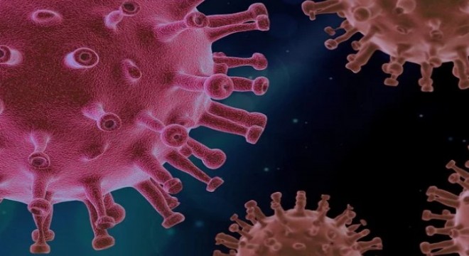 Los Angeles Times: Virüsün laboratuvardan yayıldığı iddiası doğru değil