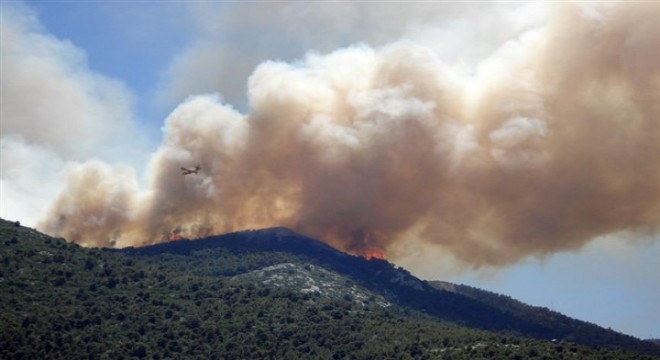 Manisa da orman yangını