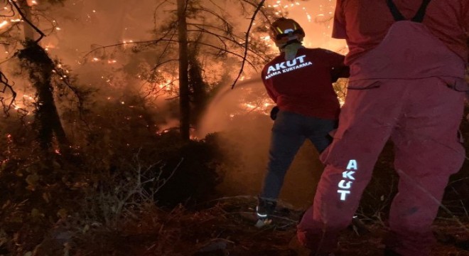 Mersin ve Manavgat taki orman yangınları