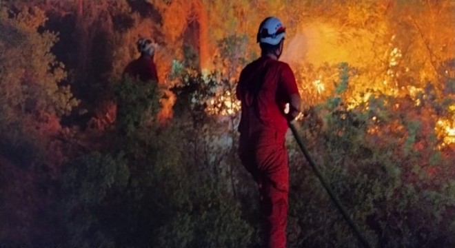 Son 6 günde 130 orman yangını kontrol altına alındı