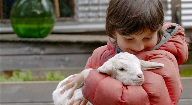 Sürdürülebilir Yaşam Film Festivali 6 gün boyunca yoğun ilgi gördü