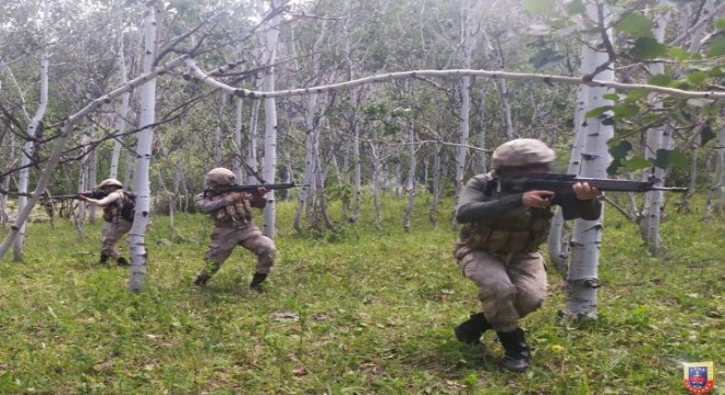 Tunceli de 2 terörist etkisiz hale getirildi