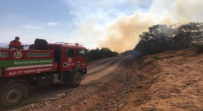 Tunceli ve Bingöl deki yangınlara müdahale sürüyor