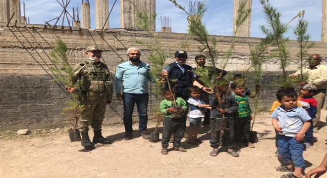 Türkiye’nin yeşili Suriye’ye uzandı