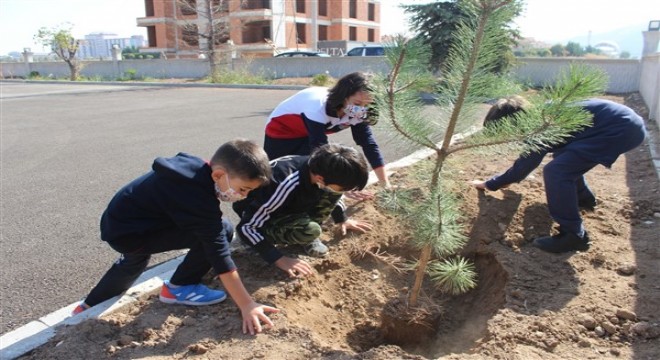 Yüz yüze eğitim fidan dikerek başladı