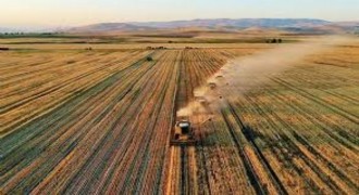 4,5 Milyar Liralık Tarımsal Destek Ödemesi Yapılıyor
