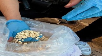 Adana'da 375 Bin Uyuşturucu Hap Ele Geçirildi