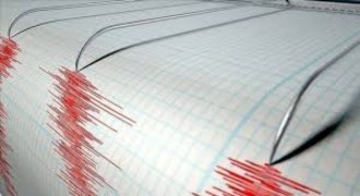 Ege Denizi'nde 4,6 Büyüklüğünde Deprem