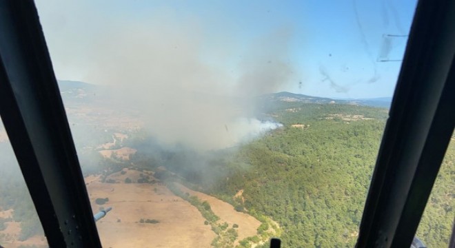 Çanakkale deki orman yangını kontrol altında
