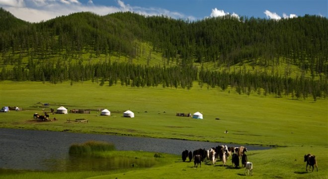 Çin, Moğolistan meraları için 7 milyar dolardan fazla destek sağladı