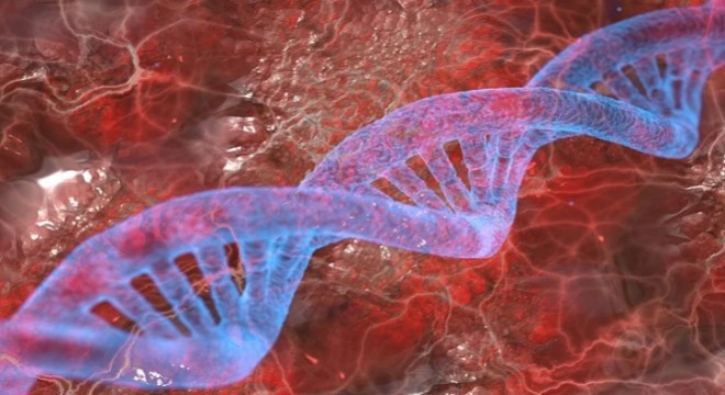 Çinli araştırmacılar epilepsiye neden olan geni keşfetti